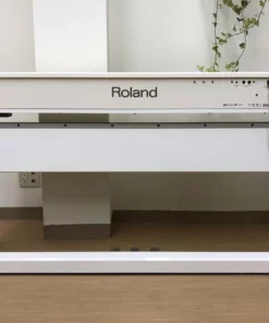 ROLAND DP-90Se PWS