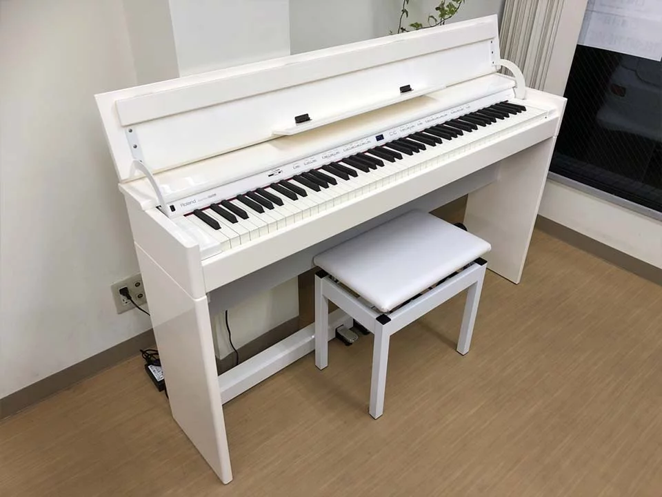 ROLAND DP-90Se PWS