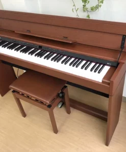 ROLAND DP-990F MC