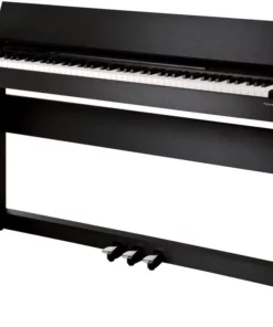 ROLAND F-110 B
