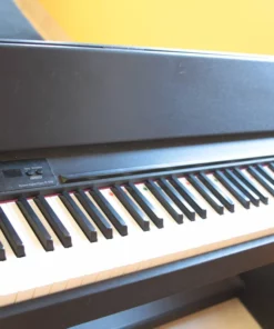 ROLAND F-110 B