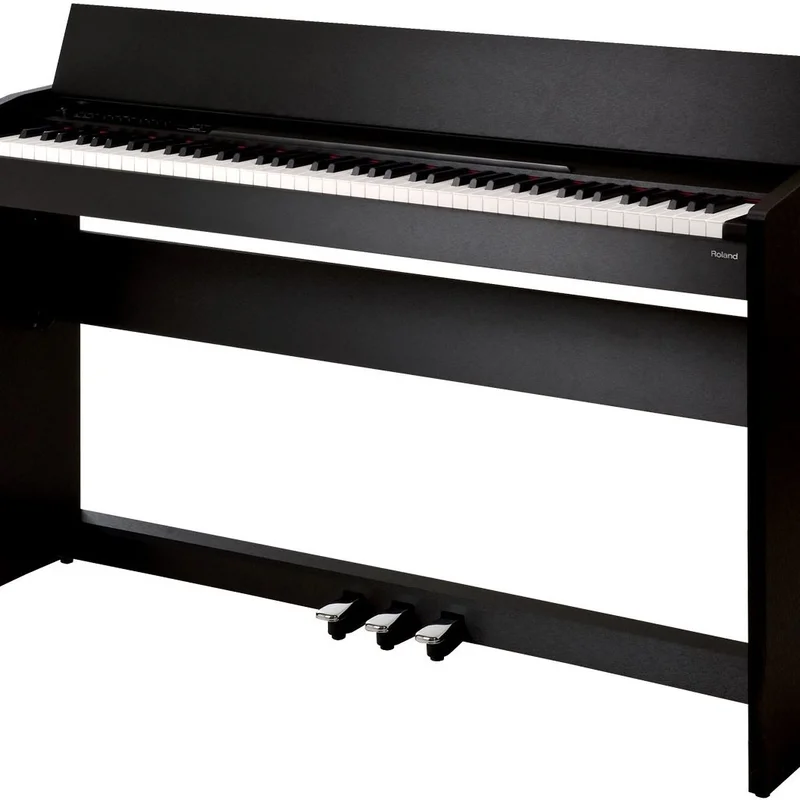 ROLAND F-110 B