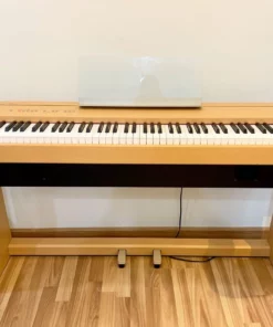 Roland F-100c
