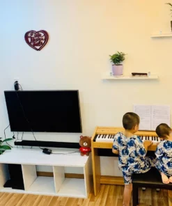 Roland F-100c