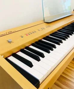 Roland F-100c