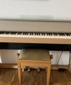 Roland F-100c