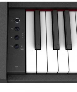 ROLAND F107 (Used)