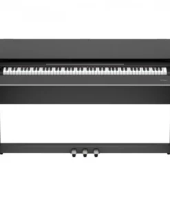 ROLAND F107