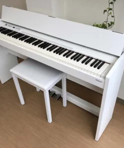 ROLAND F-120 WH