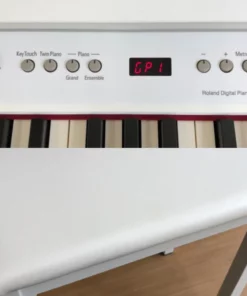 ROLAND F-120 WH