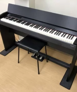 ROLAND F-120 B