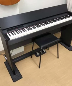 ROLAND F-120 B
