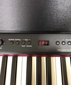 ROLAND F-120 B