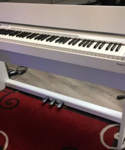 ROLAND F-120 B