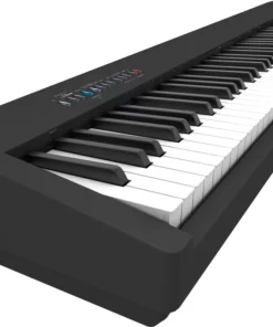 ROLAND FP-30X BK (USED)