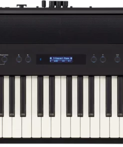 ROLAND FP-60 (Used)