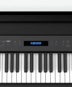 Roland FP-90X BK