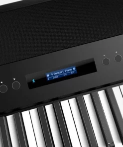 Roland FP-90X BK