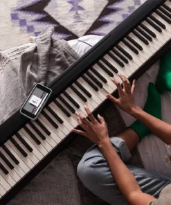 ROLAND FP-10