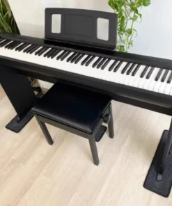 ROLAND FP-10