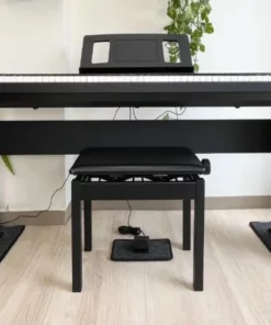 ROLAND FP-10