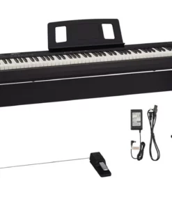ROLAND FP-10