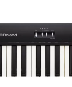 ROLAND FP-10