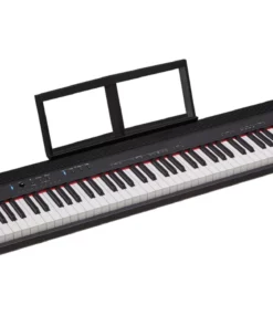 Roland Go 88-P