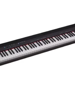 Roland Go 88-P