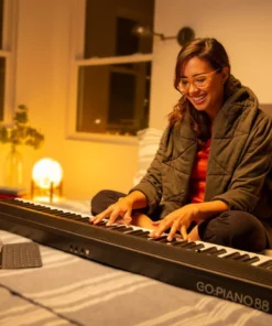Roland Go 88-P