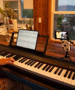 Roland Go 88-P