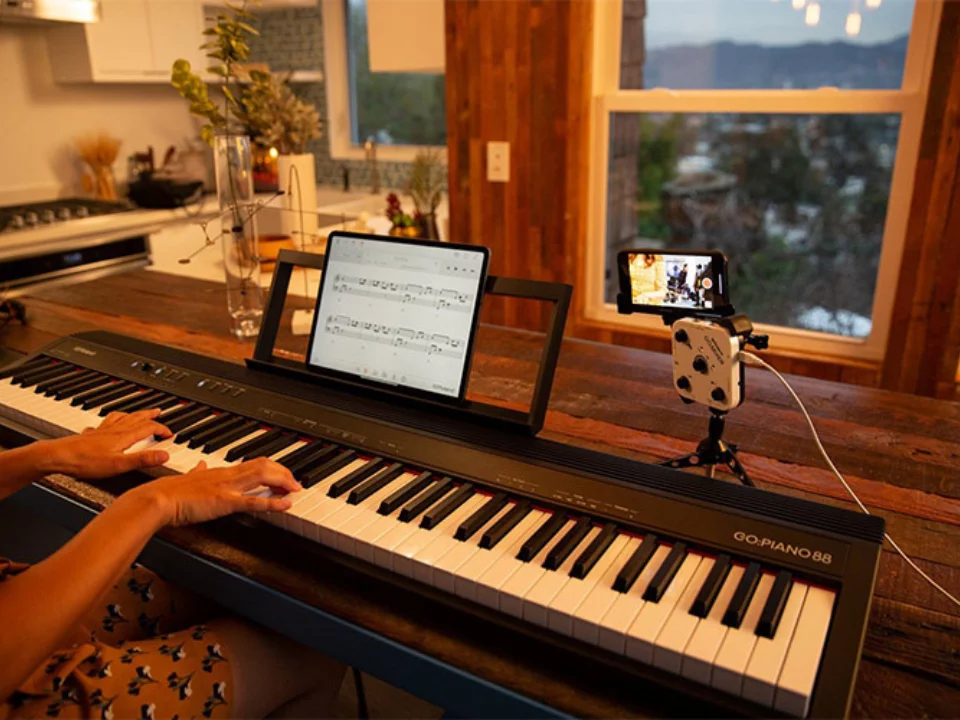 Roland Go 88-P