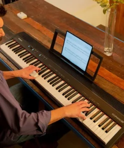 Roland Go 88-P