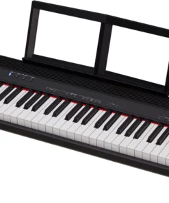 Roland Go 88-P