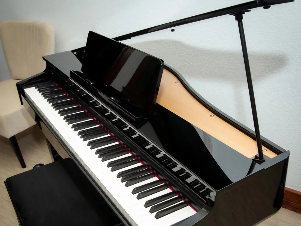 ROLAND GP-3 PE (Used)