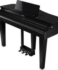 ROLAND GP-3 PW