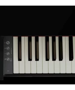 ROLAND GP-3 PW
