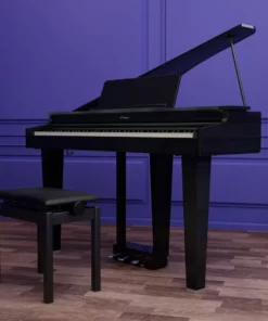 ROLAND GP-3 PW