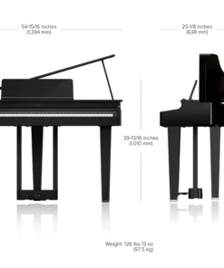ROLAND GP-3 PW