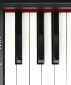 ROLAND GP-3 PW
