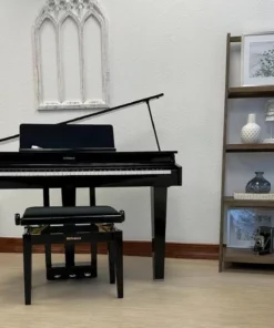 ROLAND GP-3 PE