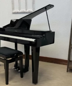 ROLAND GP-3 PE