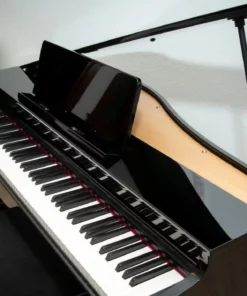 ROLAND GP-3 PE