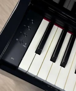 ROLAND GP-3 PE