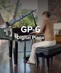 ROLAND GP-6 PE (Used)