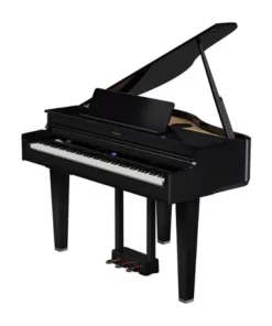 ROLAND GP-6 PE
