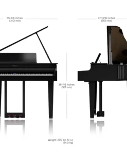ROLAND GP-6 PW