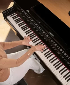 ROLAND GP-6 PW