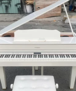 ROLAND GP-607 PW (USED)