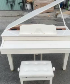ROLAND GP-607 PW (USED)